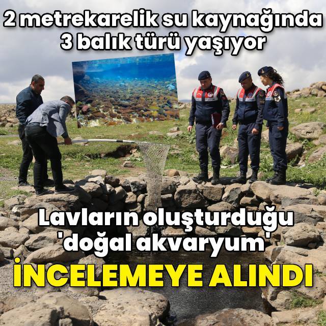 'Doğal akvaryum' incelemeye alındı