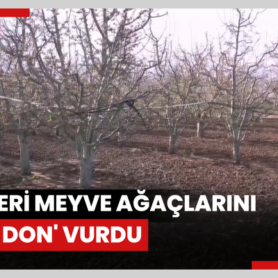 Kayseri Meyve ağaçlarını 'zirai don' vurdu
