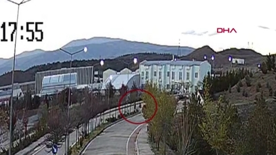 Köpeklerden kaçarken duvardan düştü