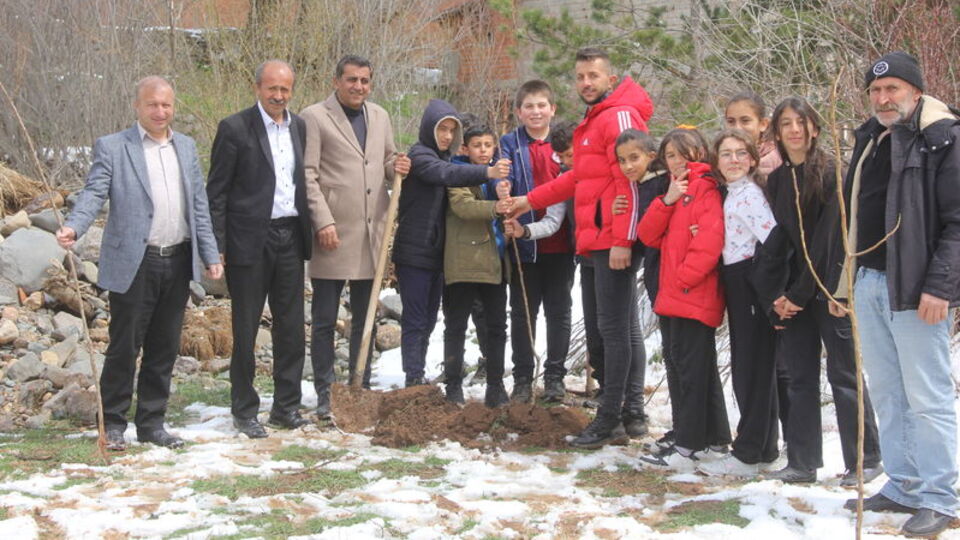 Zara'da okul bahçesinde kayısı bahçesi kuruldu