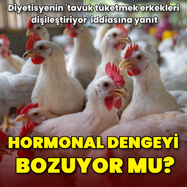'Tavuk eti, erkekleri dişileştiriyor' iddialarına yanıt