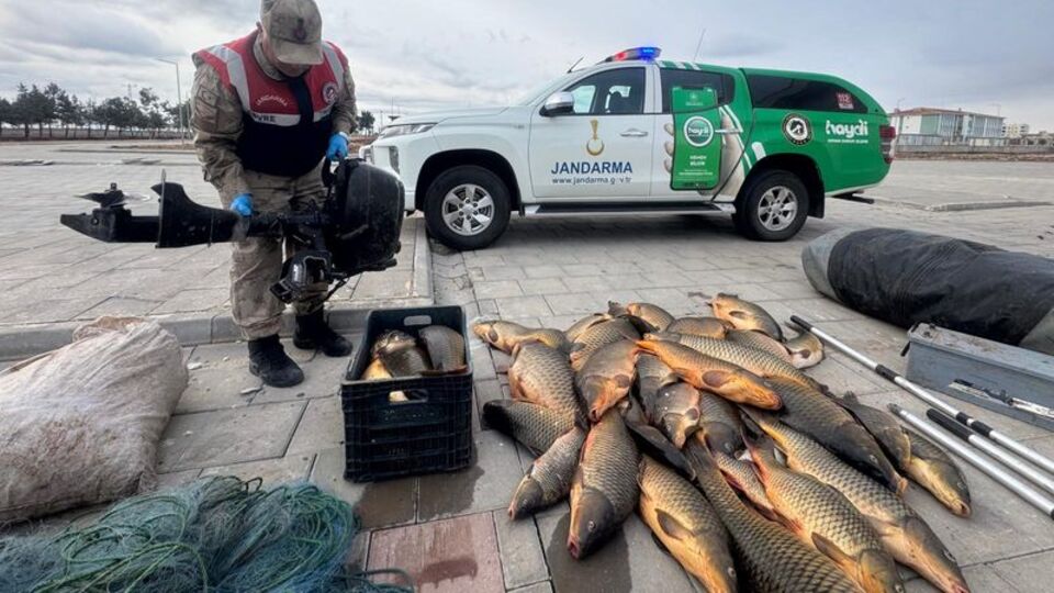 Şanlıurfa'da kaçak balığa 221 bin lira ceza