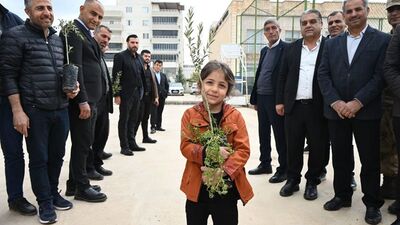 Nusaybin'de 8 bin zeytin fidanı dağıtıldı