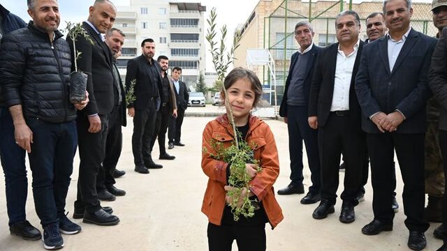 Nusaybin'de 8 bin zeytin fidanı dağıtıldı