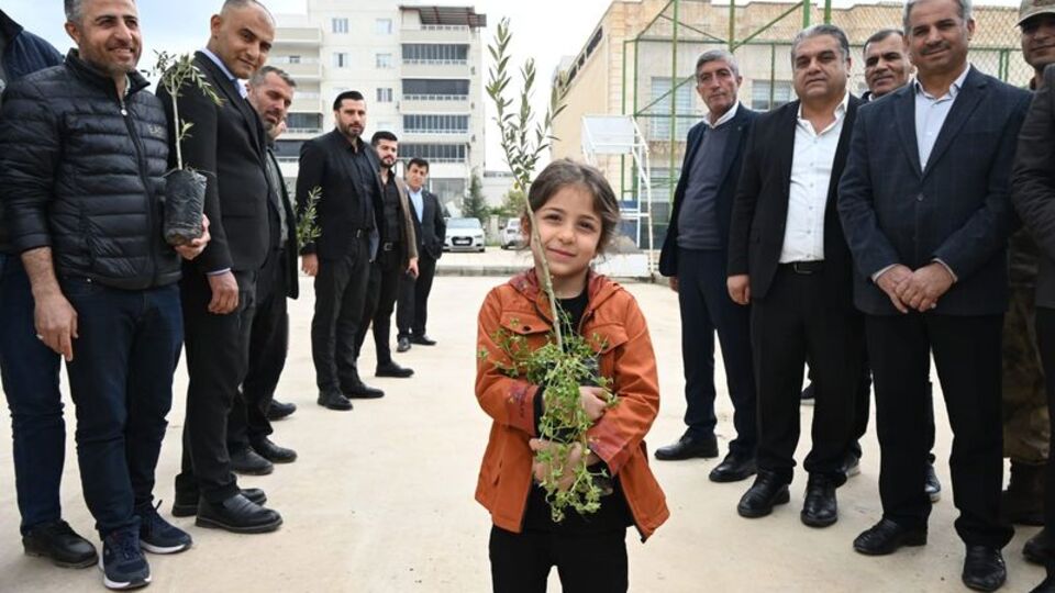 Nusaybin'de 8 bin zeytin fidanı dağıtıldı