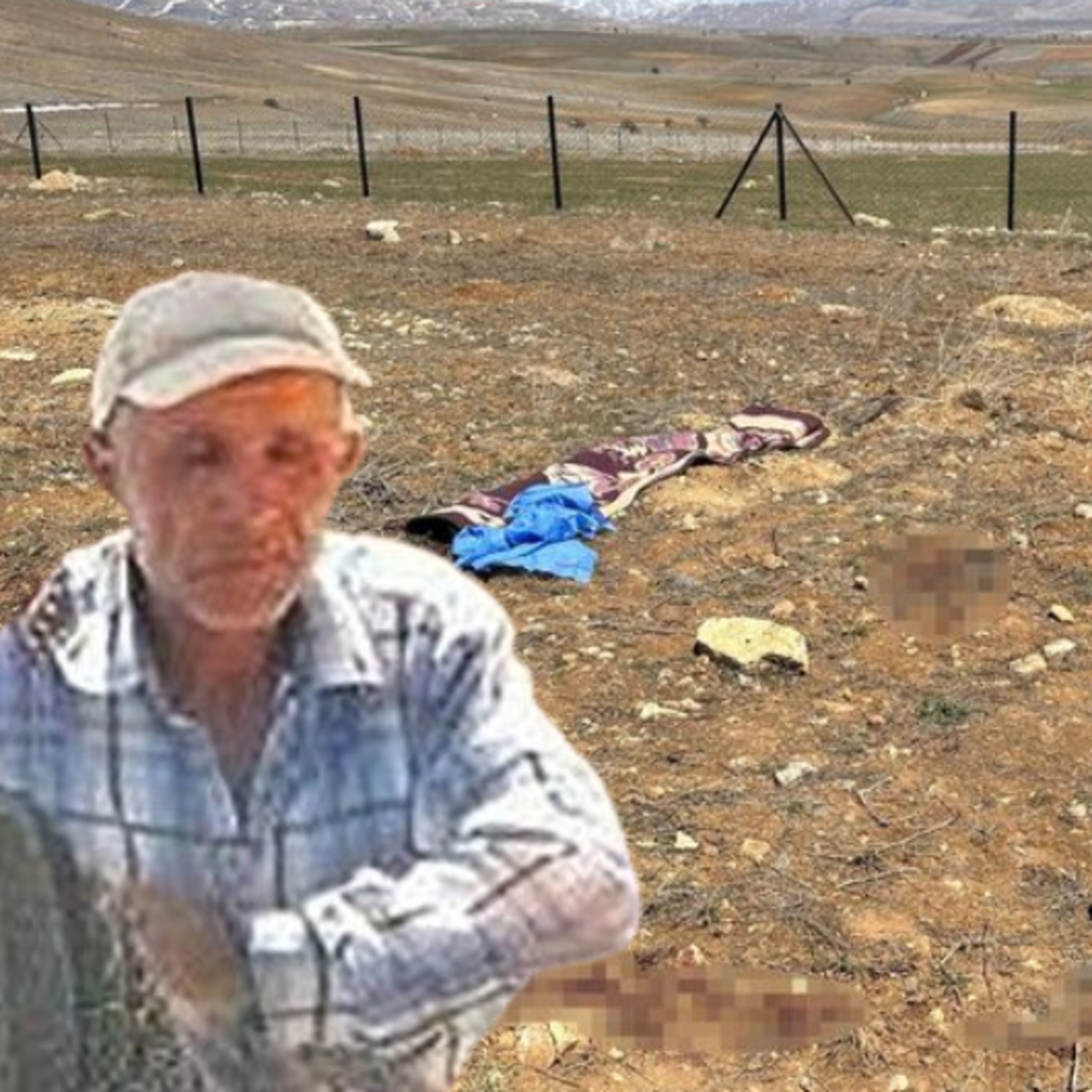 Çoban köpeklerinin saldırısında öldü