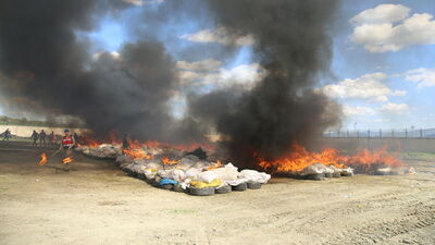 20 ton esrar imha edildi!