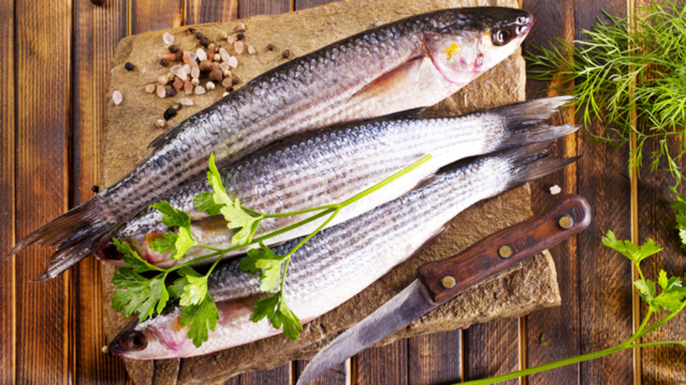 Kefal nasıl pişirilir?