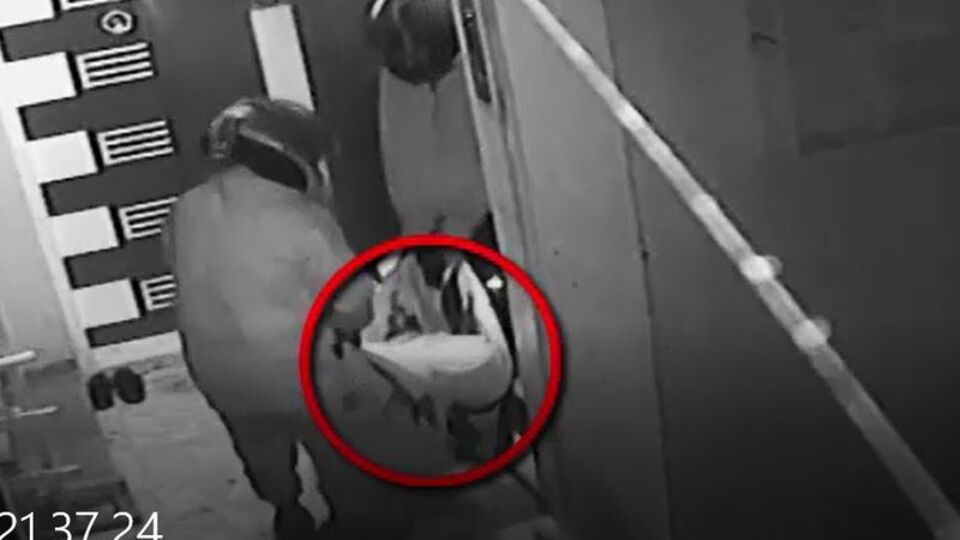 Evine giren hırsız en yakını çıktı