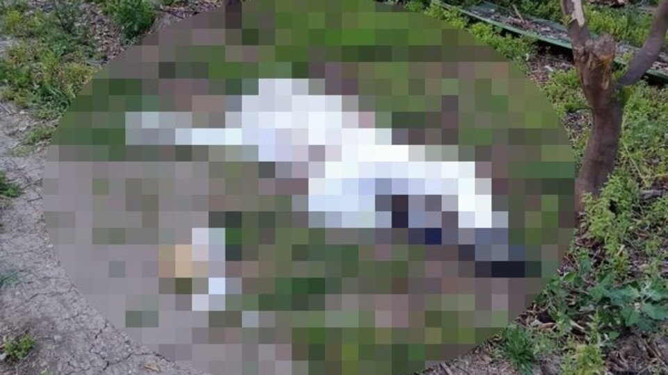 Parmağını arı soktu; arıcı kurtarılamadı