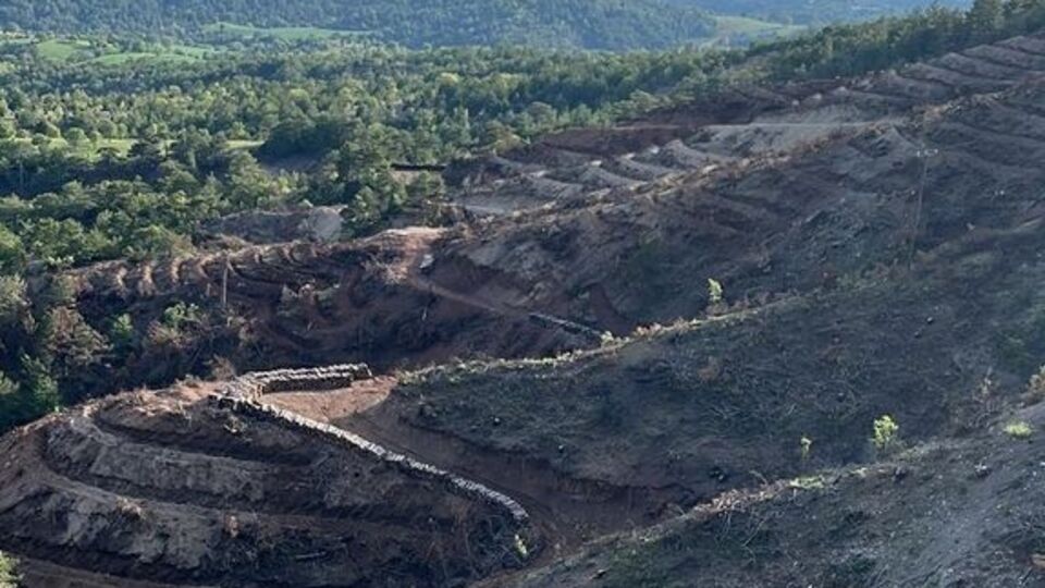 Bolu'da yanan alanlara 5 milyon 350 bin ağaç