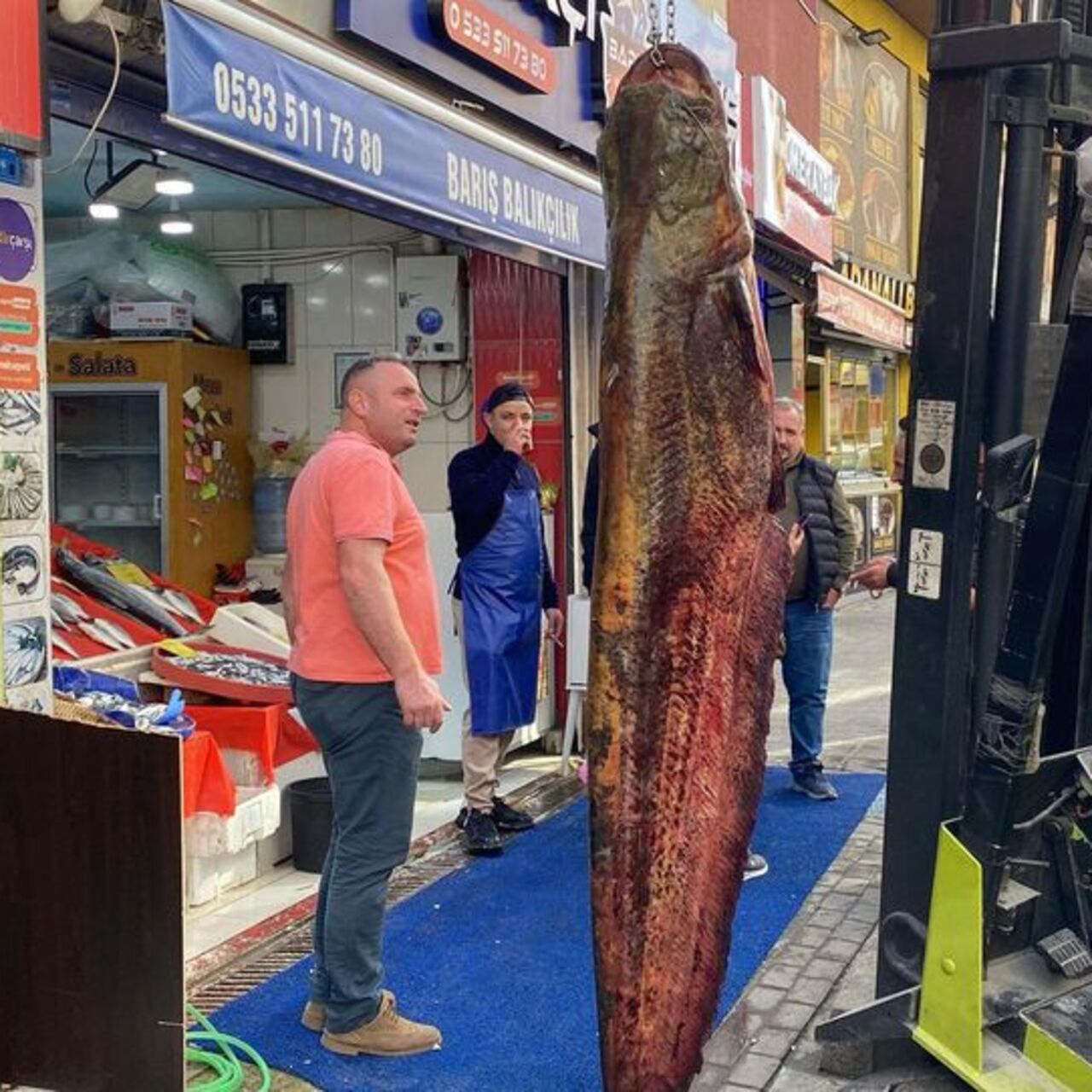 Meriç'te yakalandı: 150 kilo
