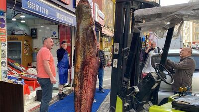 Meriç'te yakalandı: 150 kilo