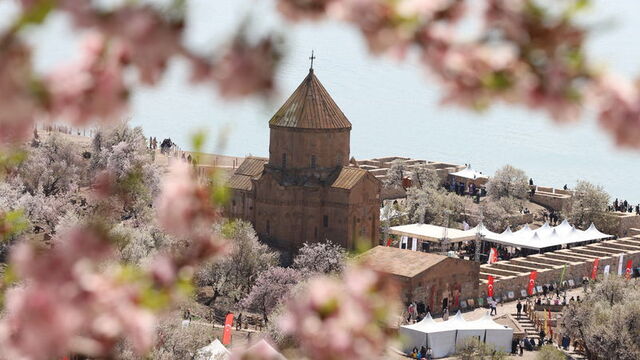 Akdamar Adası'nda Badem Çiçeği Festivali