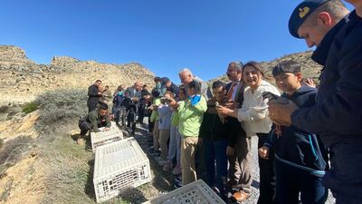 Malatya'da 250 keklik doğaya salındı
