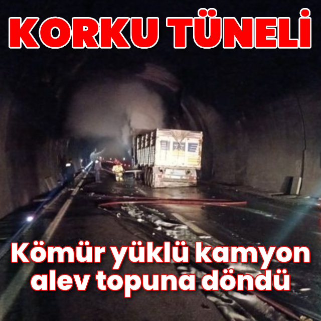 Malatya'da kömür yüklü kamyonda yangın