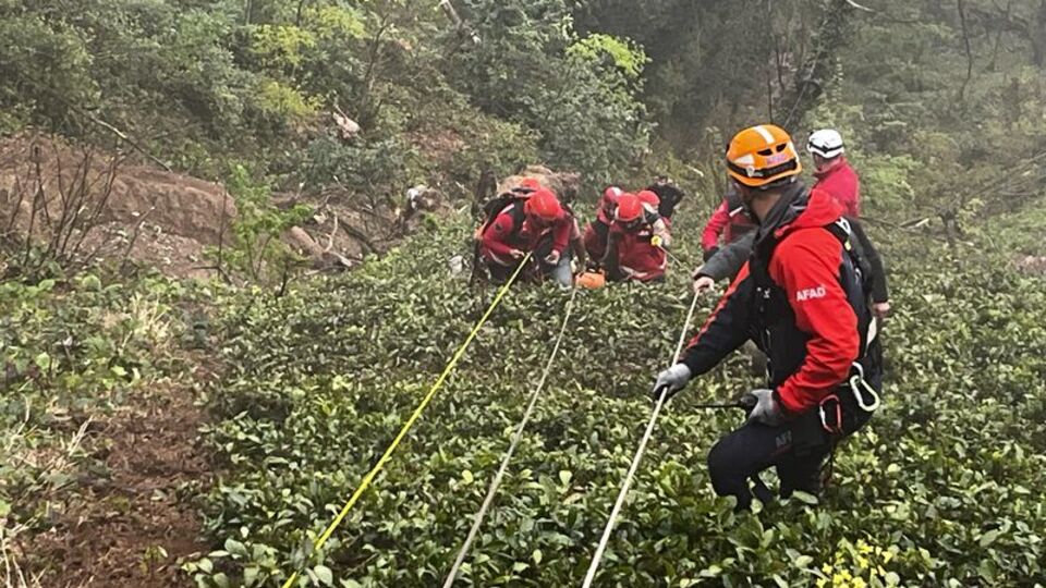 Kestiği ağacın altında can verdi