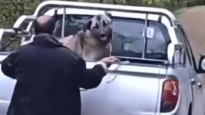 Vicdansız! Köpeği halatla dövdü