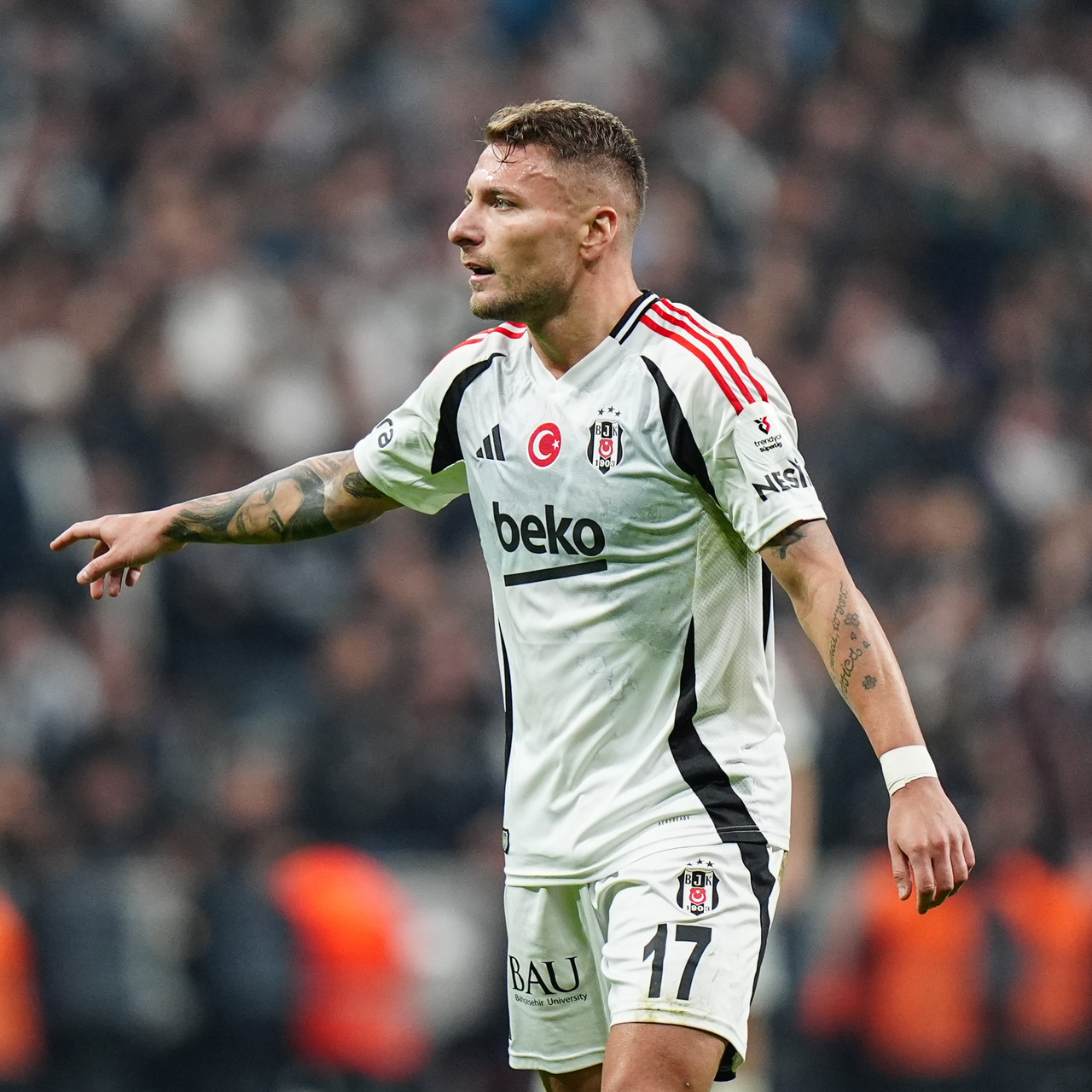 Immobile tartışması!