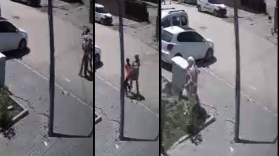 Sahipsiz köpekler anne ve kızına saldırdı