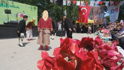 Mut'ta "Göksu Gravga Erik Şenliği"