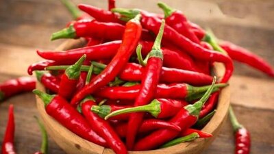 Hamilelikte acı yenir mi?