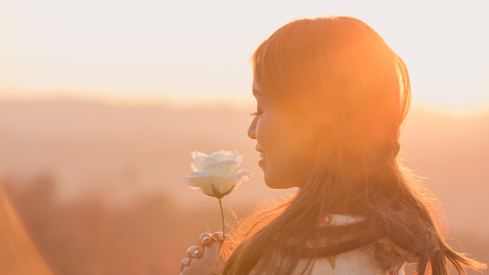 Japonların uzun ve mutlu yaşam sırrı ne?
