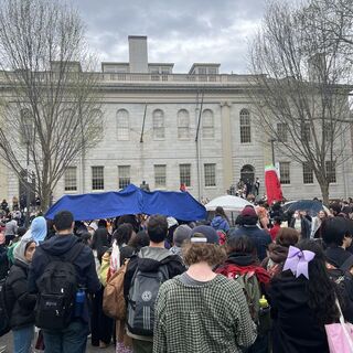 NYT: Harvard Trump yönetimine dava açtı