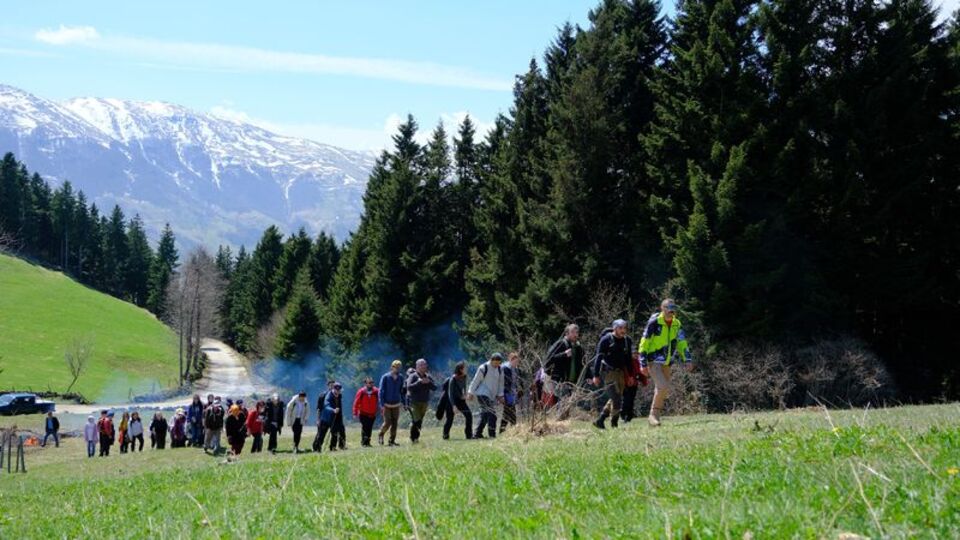 'Mavi yıldız'ları görmek için 11 kilometre yürüdüler