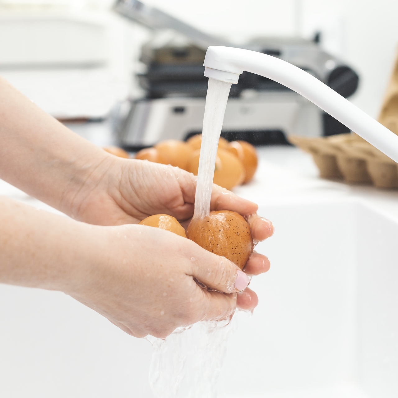 Salmonella, bahar ve yaz aylarını seviyor