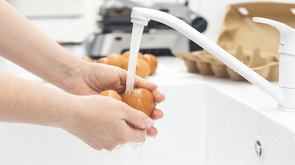 Salmonella, bahar ve yaz aylarını seviyor