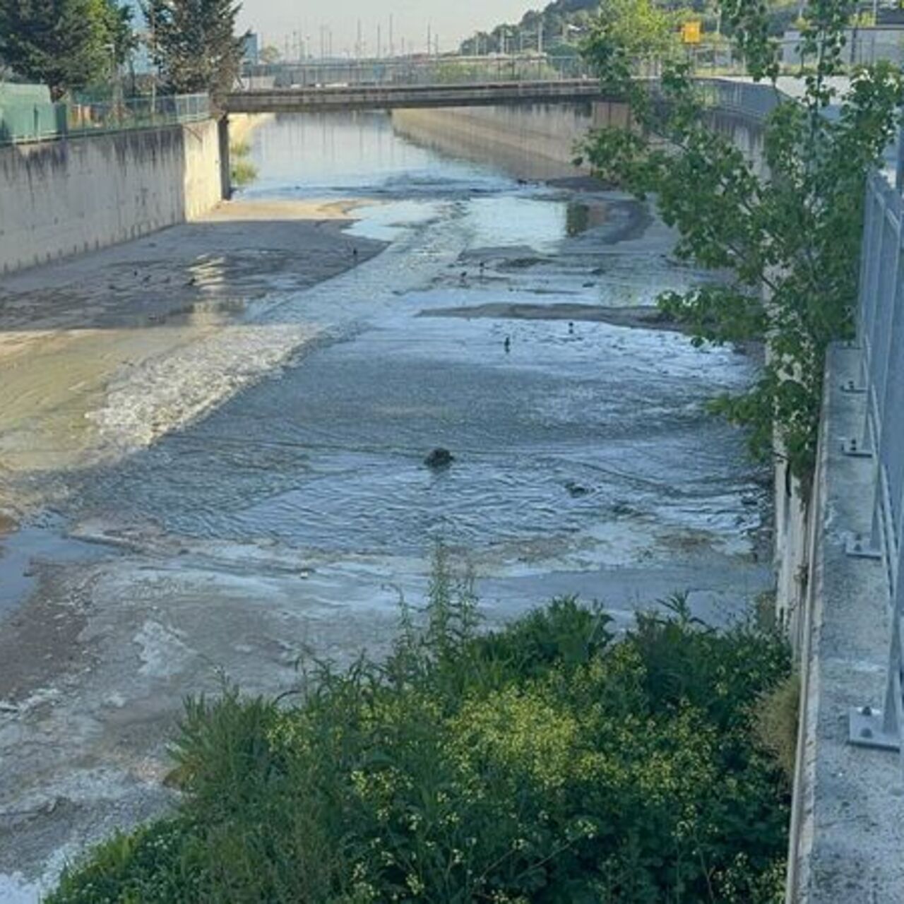 Küçükçekmece'de derede "atık su" kokusu
