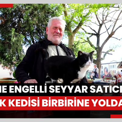 Görme engelli seyyar satıcıyla sokak kedisi "Gölge" kurdukları bağla birbirine yoldaş oldu