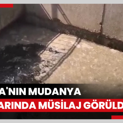 Bursa'nın Mudanya kıyılarında müsilaj görüldü