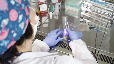 Hasarlı dokuların onarımına yönelik "biyokalem" geliştirildi