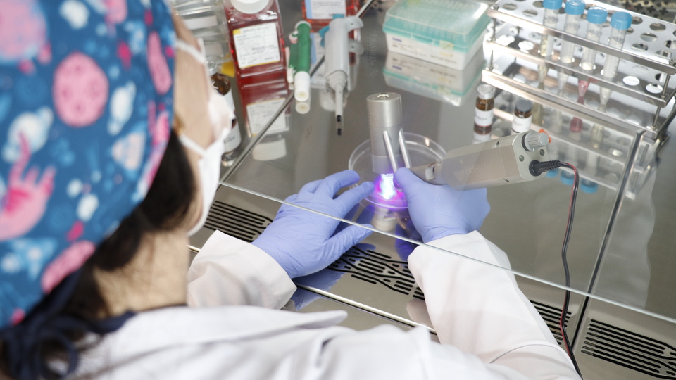 Hasarlı dokuların onarımına yönelik "biyokalem" geliştirildi