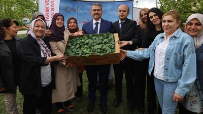 Iğdır'da kadın üreticilere fide dağıtımı