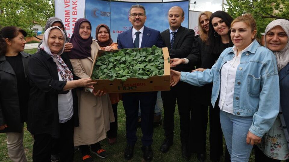 Iğdır'da kadın üreticilere fide dağıtımı