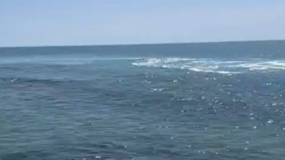 İsrail'de köpek balığı saldırısına uğrayan kişinin ölümü eşi tarafından duyuruldu