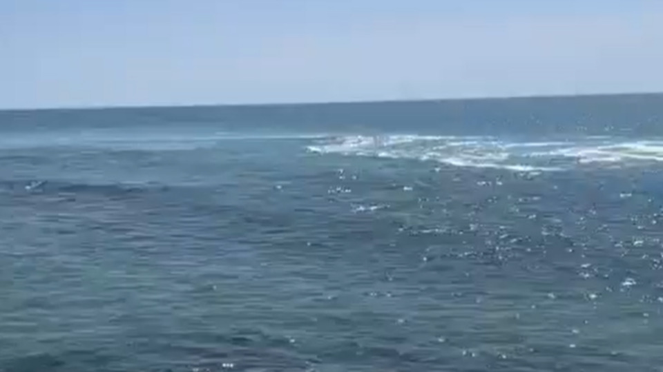 İsrail'de köpek balığı saldırısına uğrayan kişinin ölümü eşi tarafından duyuruldu