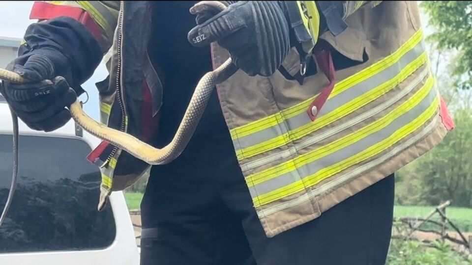 "Bir daha gelme arkadaşım"