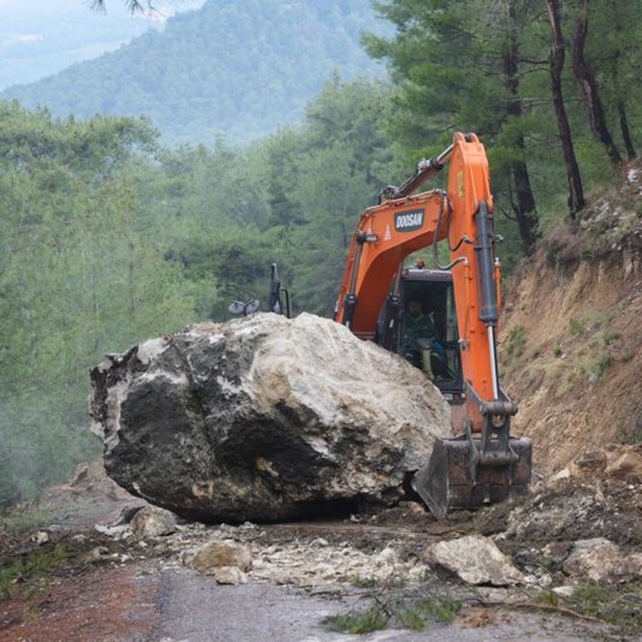 Dev kaya yola düştü, tarım alanları zarar gördü