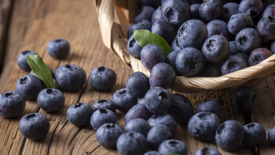 Yaban mersininin diğer adı nedir?