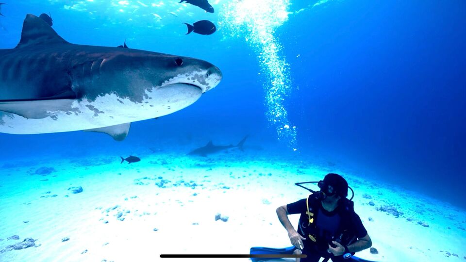 Hayalini gerçekleştirdi