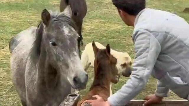 'Kral', yine yalnız bırakmadı