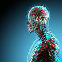 Beyni genç tutmanın altın kuralları