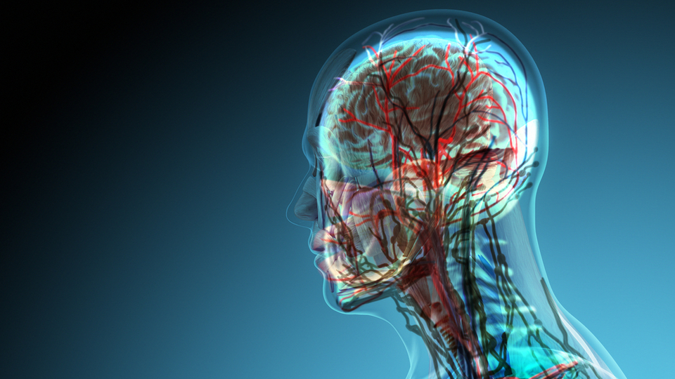 Beyni genç tutmanın altın kuralları