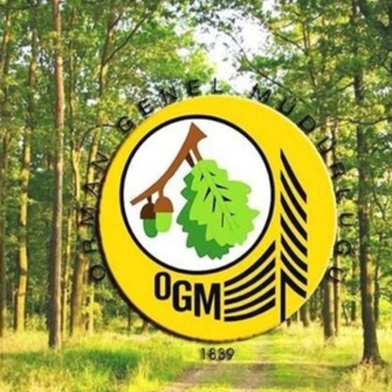 OGM işçi alımı sonuçları ne zaman açıklanacak?