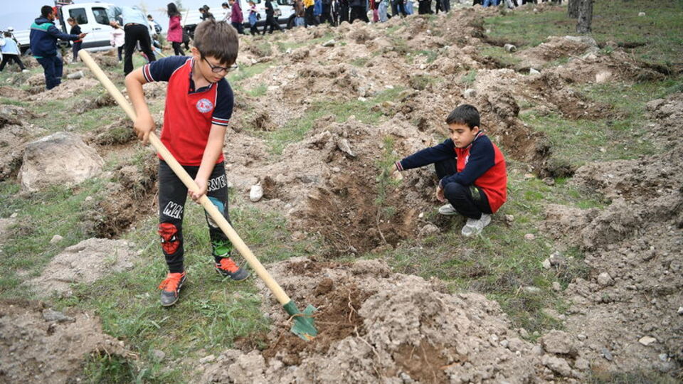 Kayseri'de 3 bin karaçam ve sedir dikildi