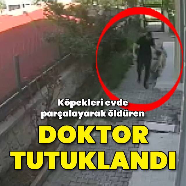 Köpekleri evde parçalayarak öldüren doktor tutuklandı